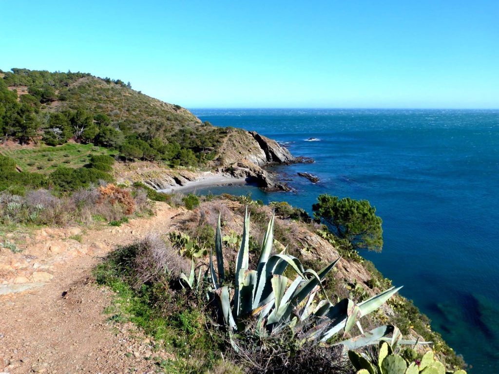 sentier-du-littoral-collioure