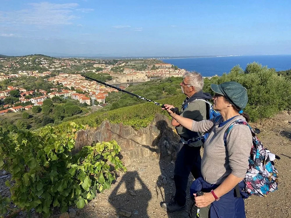 balade-commentee-vinohrando-collioure