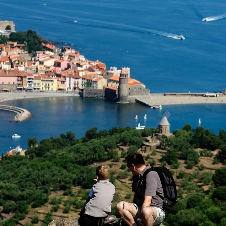 contemplation-collioure