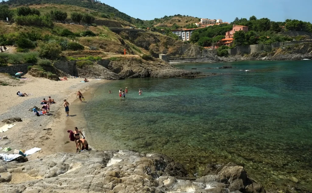 topito-les-top-activites-a-faire-en-famille-plage-collioure