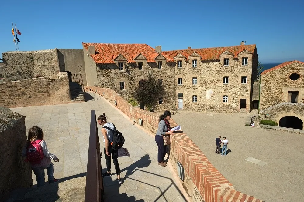 château royal - collioure