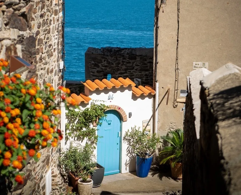 quartier-du-mouré-collioure -