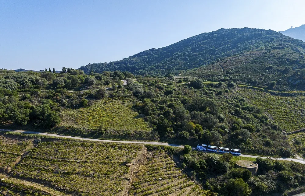 petit-train-touristique-a-collioure