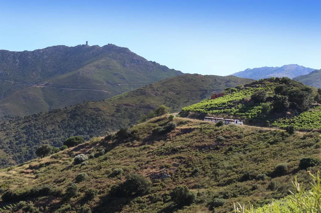 petit-train--touristique-collioure