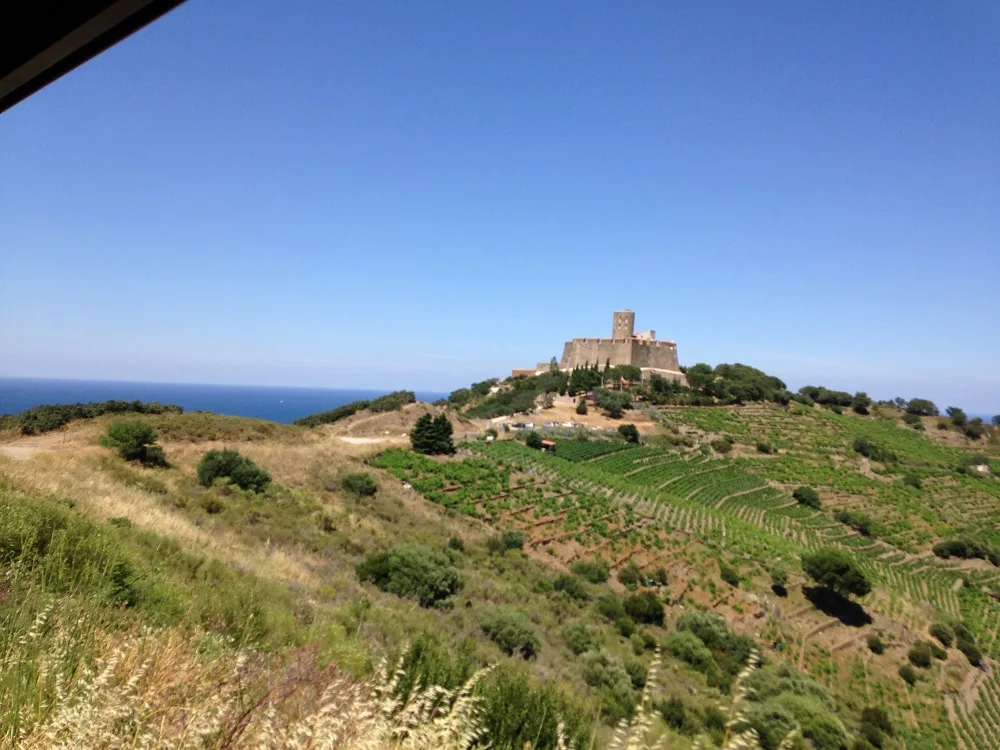 petit-train-touristique-collioure