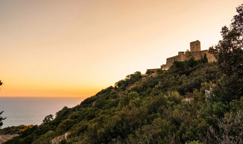 -le-fort-saint-elme-collioure-