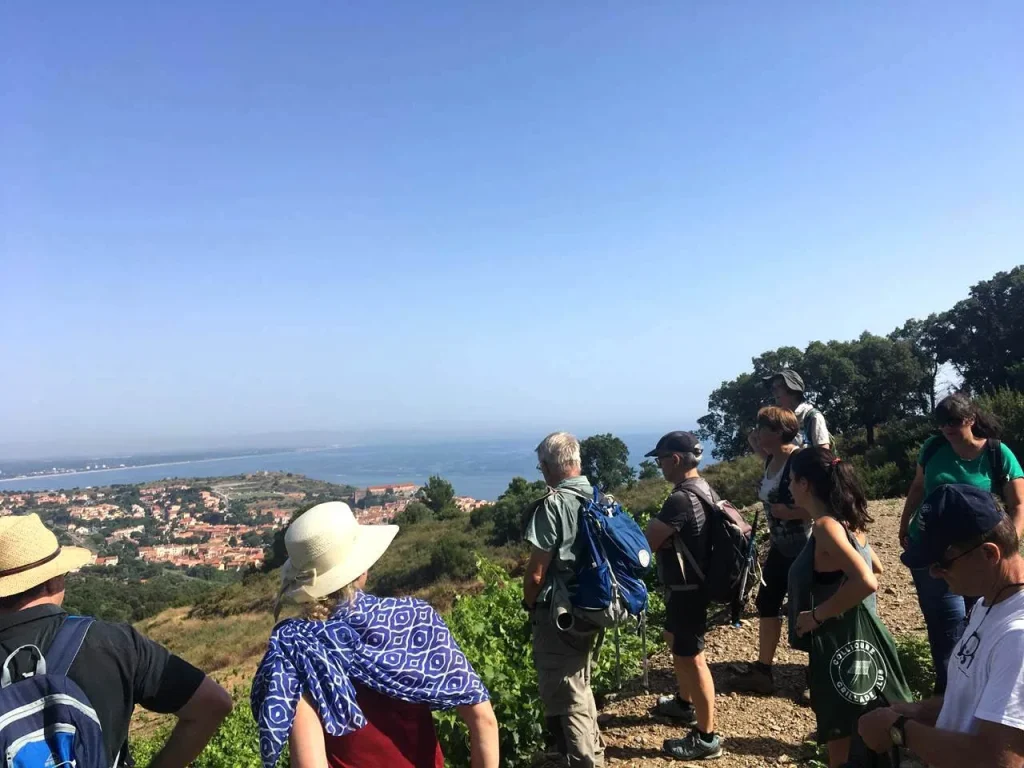 randonnée-vigneronne-collioure