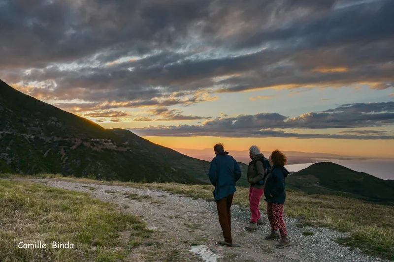 balade-naturaliste-collioure