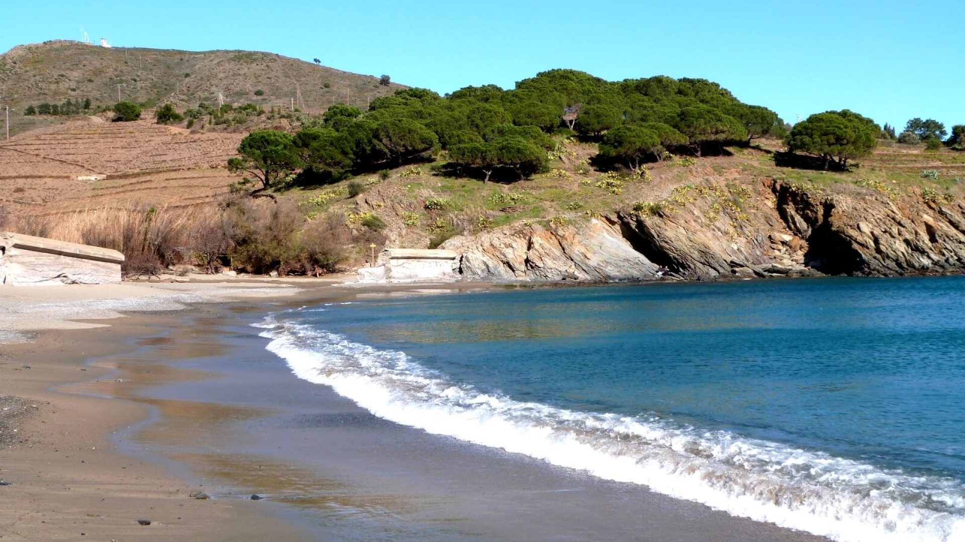 paullile-collioure