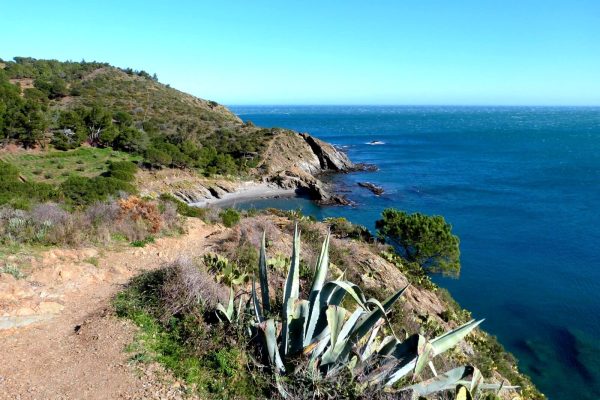 sentier-du-littoral-collioure