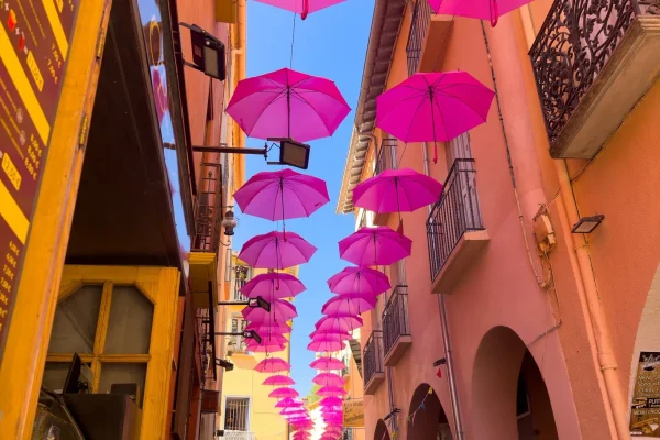 Vacances de Toussaint à Collioure