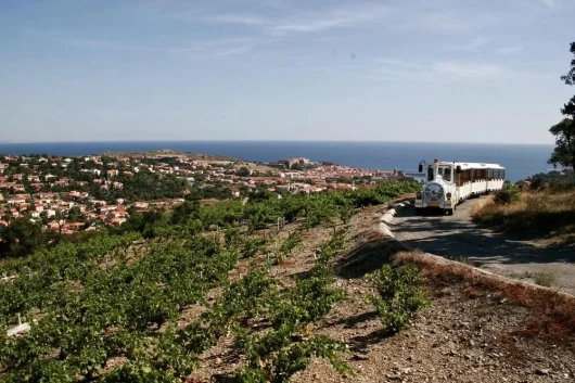 petit-train-collioure