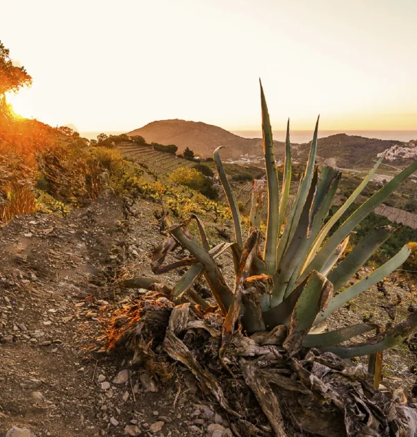 activités-nature-collioure