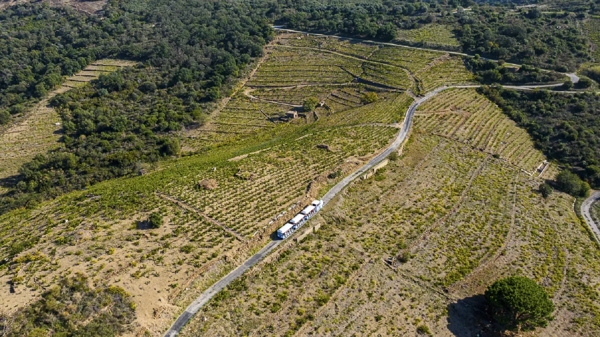 loisirs-collioure-petit-train