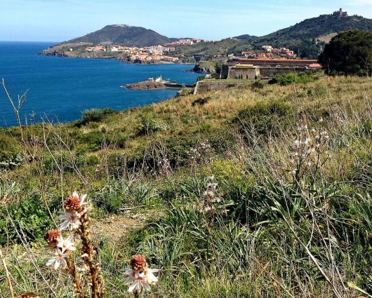 sentier-du-littoral-collioure