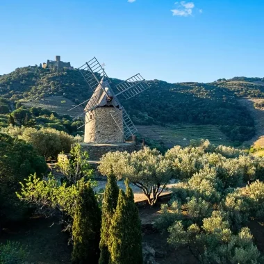 activites-le-moulin-a-huile-collioure