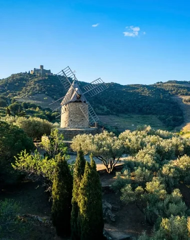 activites-le-moulin-a-huile-collioure