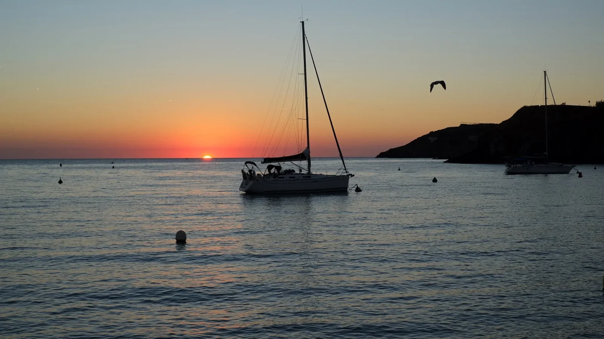 venir-a-collioure-se-deplacer-en-bateau