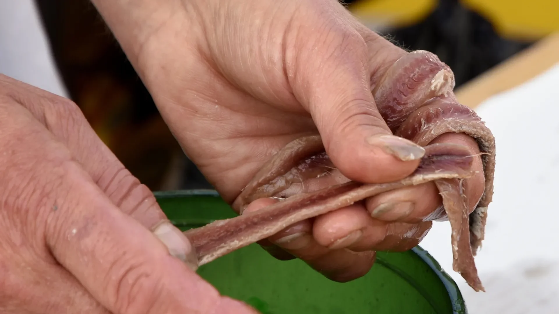 les-anchois-demonstration-anchois-collioure