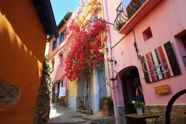 10 bonnes raisons de venir à Collioure