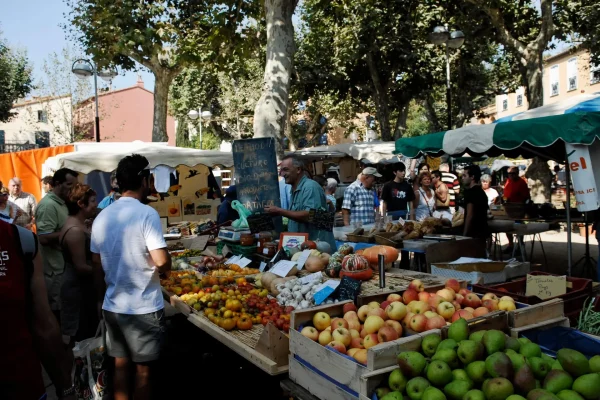 10 bonnes raisons de venir à Collioure