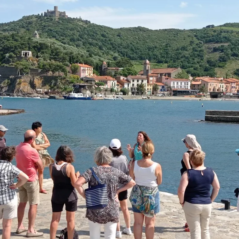 Visite-guidée-groupe-Vitrine-sur-le-fauvisme