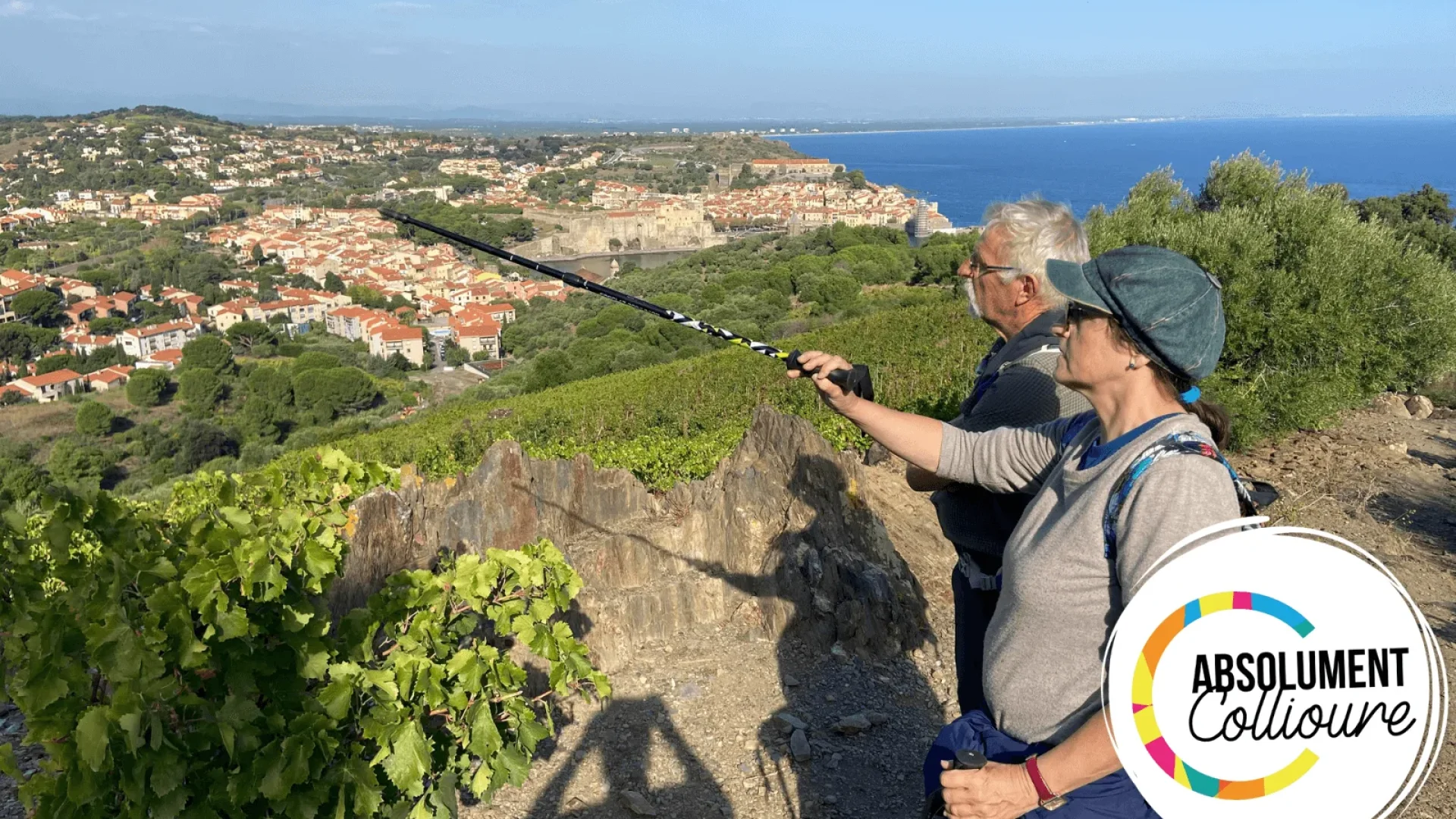 Les activités absolument collioure