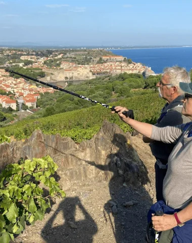 Les activités absolument collioure