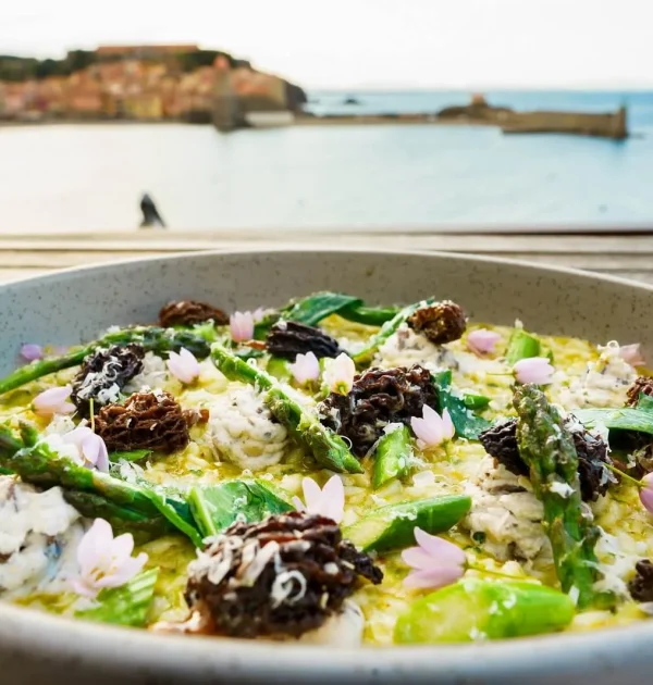 Gastronomie-de-collioure